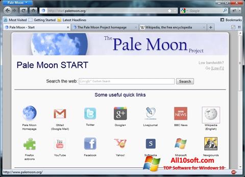 Ekrano kopija Pale Moon Windows 10