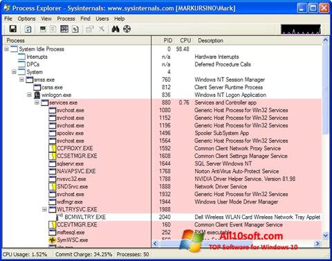 Ekrano kopija Process Explorer Windows 10