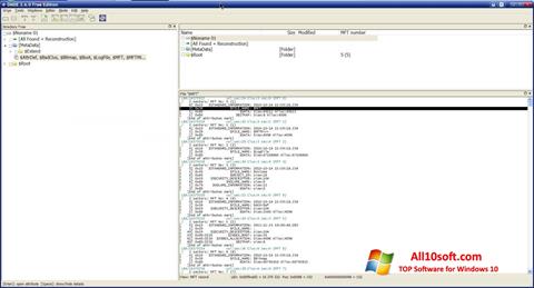 Ekrano kopija DMDE Windows 10