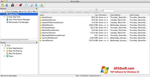 Ekrano kopija iBackupBot Windows 10